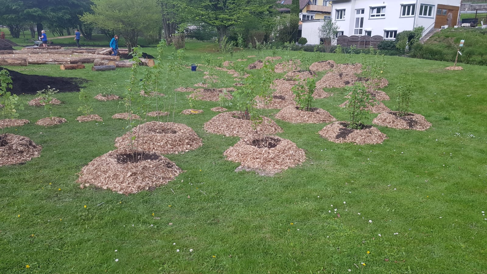 Beerengarten