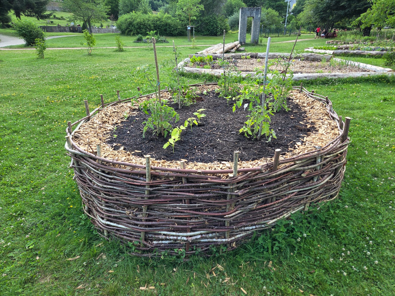 Gemüsegarten