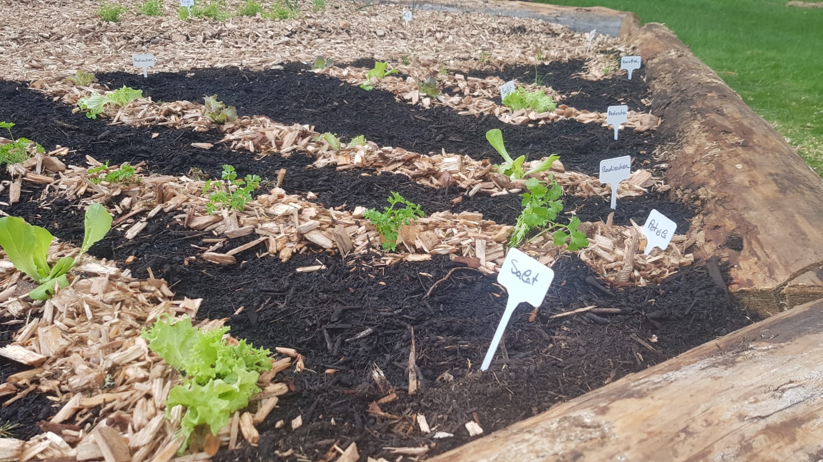 Duftender Kräutergarten